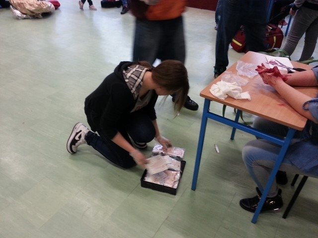 konkurs i pokaz ZSZ PBO